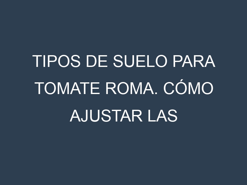 Tipos de suelo para Tomate Roma. Cómo ajustar las condiciones del suelo.
