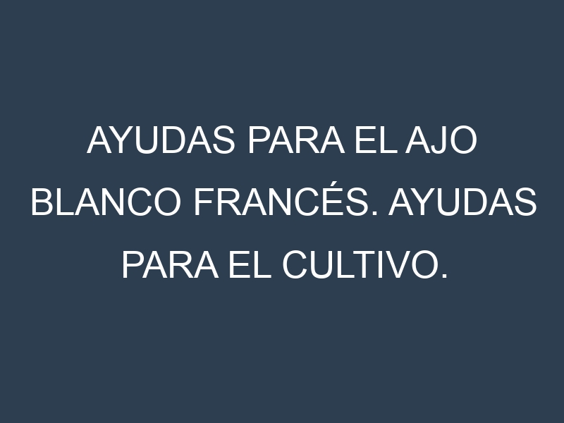 Ayudas para el Ajo blanco francés. Ayudas para el cultivo. Subvenciones.