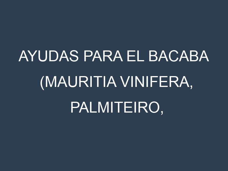 Ayudas para el Bacaba (Mauritia vinifera, Palmiteiro, Jauari, Bacaba-de-leque, Bacaba-açu). Ayudas para el cultivo. Subvenciones.