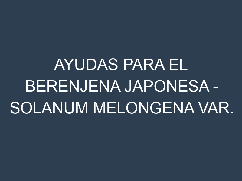 Ayudas para el Berenjena japonesa – Solanum melongena var. esculentum. Ayudas para el cultivo. Subvenciones.