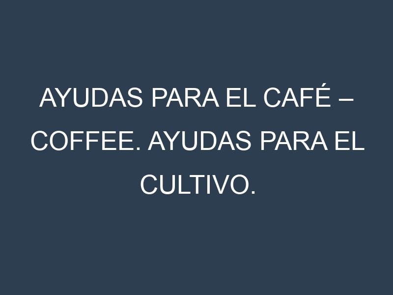 Ayudas para el Café – Coffee. Ayudas para el cultivo. Subvenciones.