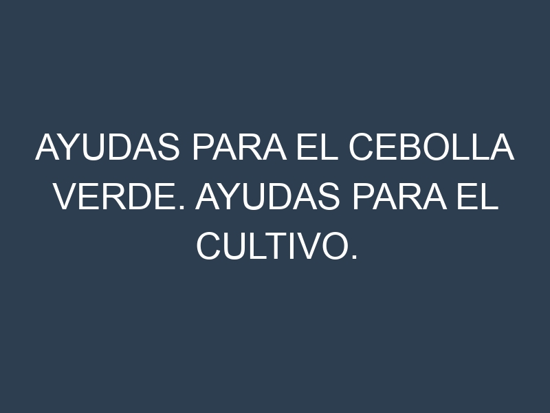 Ayudas para el Cebolla verde. Ayudas para el cultivo. Subvenciones.