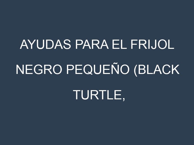 Ayudas para el Frijol negro pequeño (Black Turtle, Midnight, Domino, Condor, Eureka). Ayudas para el cultivo. Subvenciones.