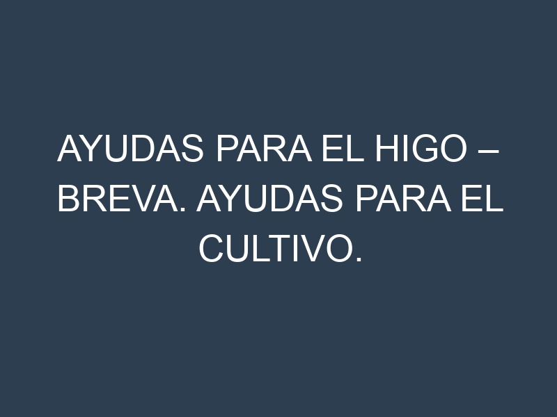 Ayudas para el Higo – Breva. Ayudas para el cultivo. Subvenciones.