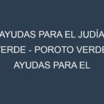Ayudas para el Judía verde – Poroto verde. Ayudas para el cultivo. Subvenciones.