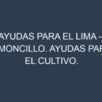 Ayudas para el Lima – Limoncillo. Ayudas para el cultivo. Subvenciones.