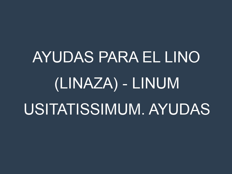 Ayudas para el Lino (linaza) – Linum usitatissimum. Ayudas para el cultivo. Subvenciones.
