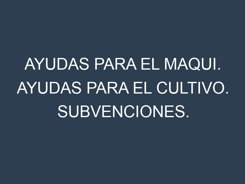 Ayudas para el Maqui. Ayudas para el cultivo. Subvenciones.