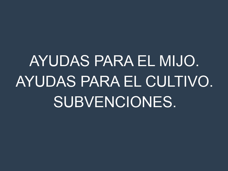 Ayudas para el Mijo. Ayudas para el cultivo. Subvenciones.