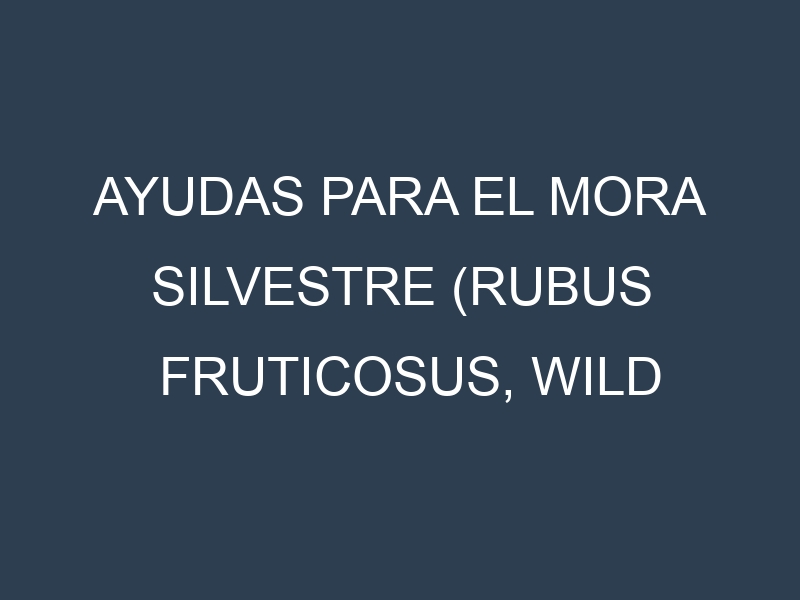 Ayudas para el Mora silvestre (Rubus fruticosus, wild blackberry). Ayudas para el cultivo. Subvenciones.