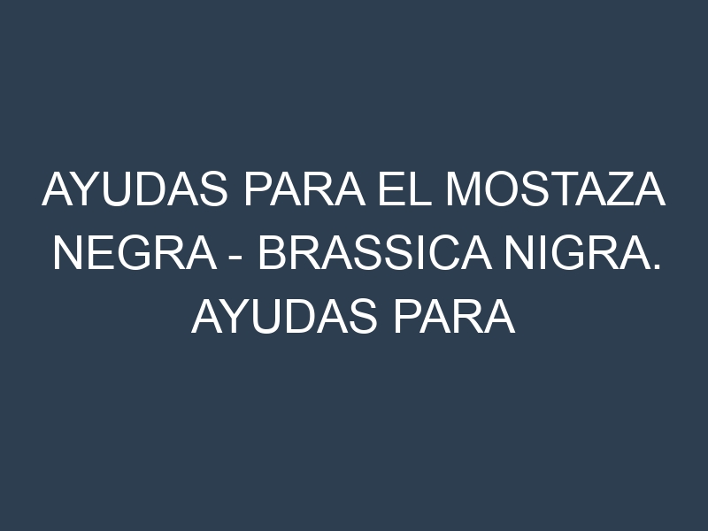 Ayudas para el Mostaza negra – Brassica nigra. Ayudas para el cultivo. Subvenciones.