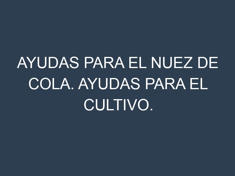 Ayudas para el Nuez de cola. Ayudas para el cultivo. Subvenciones.