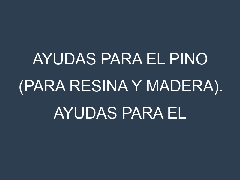 Ayudas para el Pino (para resina y madera). Ayudas para el cultivo. Subvenciones.