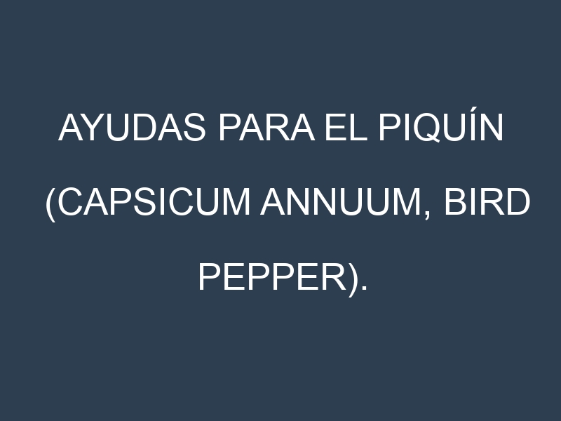 Ayudas para el Piquín (Capsicum annuum, bird pepper). Ayudas para el cultivo. Subvenciones.