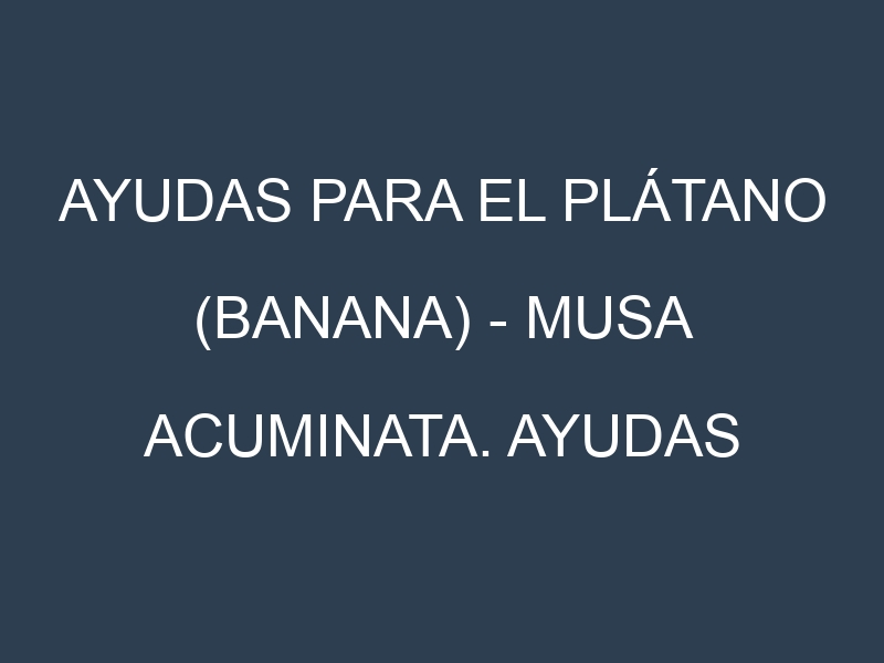 Ayudas para el Plátano (banana) – Musa acuminata. Ayudas para el cultivo. Subvenciones.