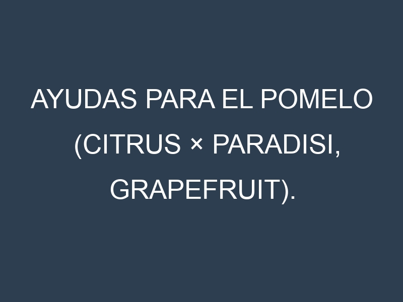 Ayudas para el Pomelo (Citrus × paradisi, grapefruit). Ayudas para el cultivo. Subvenciones.