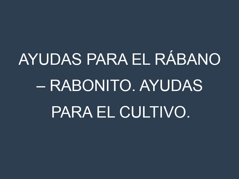 Ayudas para el Rábano – Rabonito. Ayudas para el cultivo. Subvenciones.
