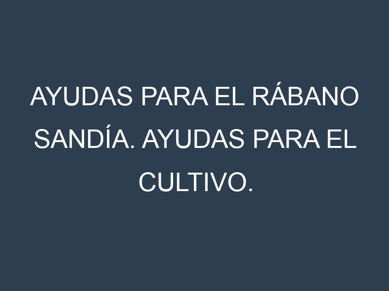 Ayudas para el Rábano sandía. Ayudas para el cultivo. Subvenciones.