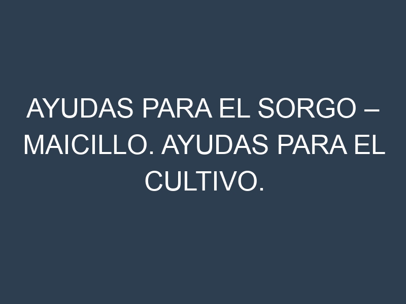 Ayudas para el Sorgo – Maicillo. Ayudas para el cultivo. Subvenciones.