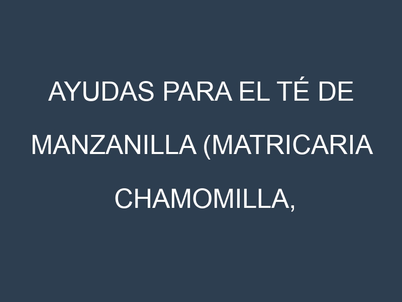 Ayudas para el Té de manzanilla (Matricaria chamomilla, chamomile tea). Ayudas para el cultivo. Subvenciones.