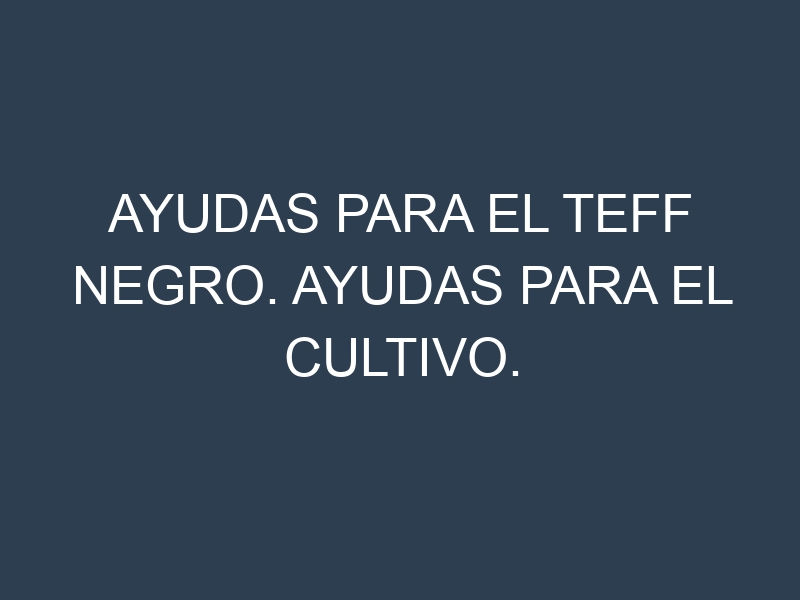 Ayudas para el Teff negro. Ayudas para el cultivo. Subvenciones.