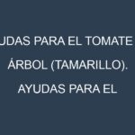 Ayudas para el Tomate de árbol (tamarillo). Ayudas para el cultivo. Subvenciones.