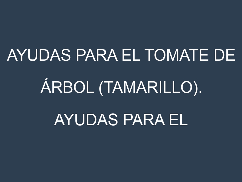 Ayudas para el Tomate de árbol (tamarillo). Ayudas para el cultivo. Subvenciones.