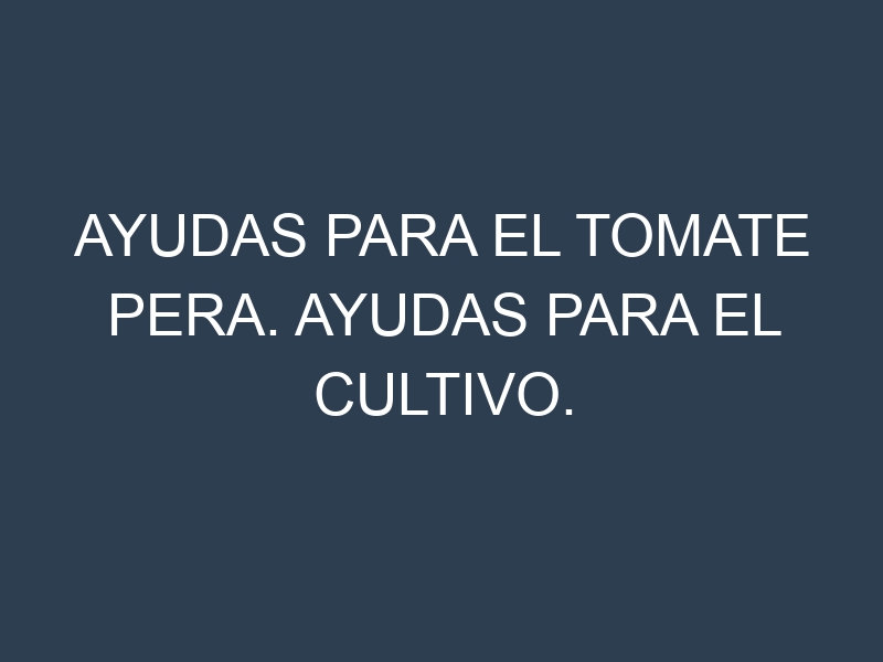Ayudas para el Tomate pera. Ayudas para el cultivo. Subvenciones.