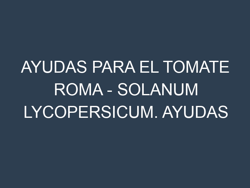 Ayudas para el Tomate Roma – Solanum lycopersicum. Ayudas para el cultivo. Subvenciones.