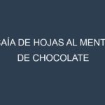 Caía de hojas al Menta de chocolate