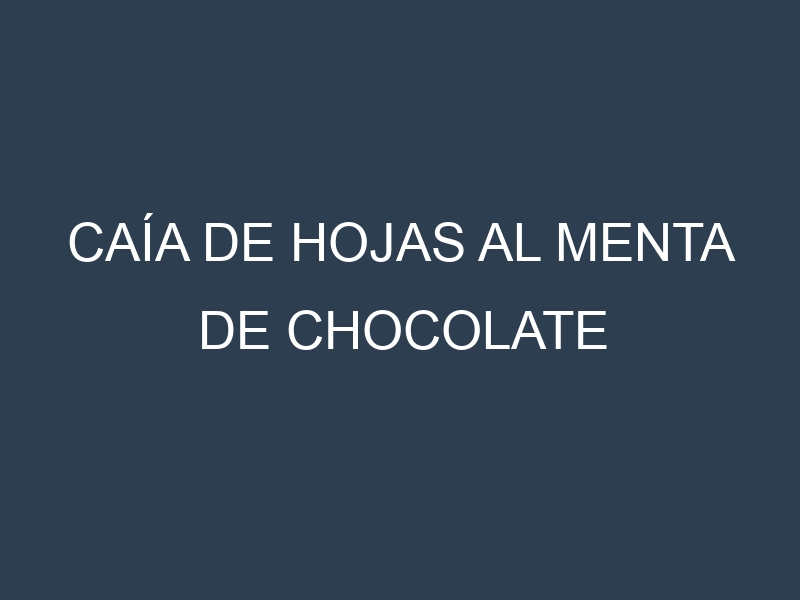Caía de hojas al Menta de chocolate