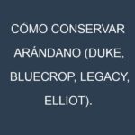Cómo conservar Arándano (Duke, Bluecrop, Legacy, Elliot).