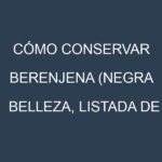 Cómo conservar Berenjena (Negra Belleza, Listada de Gandía, Violeta de Florencia, Blanca).
