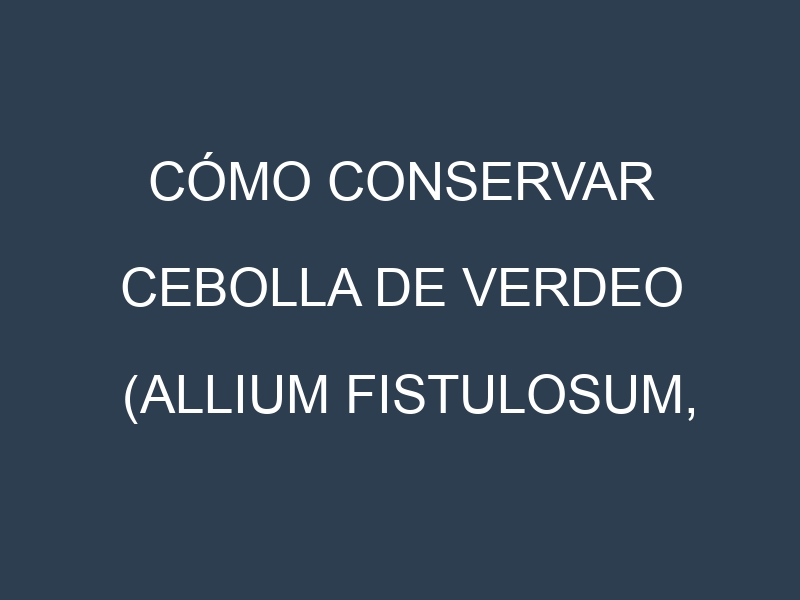 Cómo conservar Cebolla de verdeo (Allium fistulosum, Cebolla de verdeo común, Cebolla de verdeo dulce).