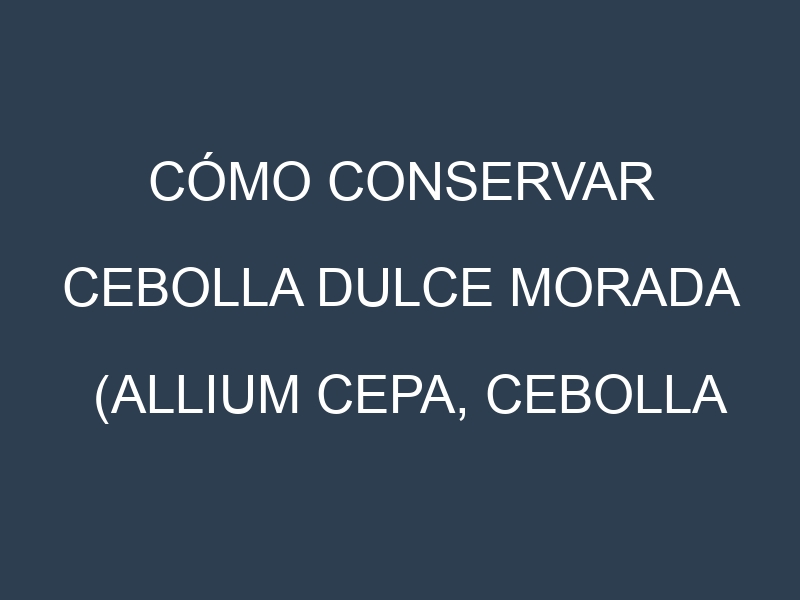 Cómo conservar Cebolla dulce morada (Allium cepa, Cebolla morada dulce, Cebolla morada grande).