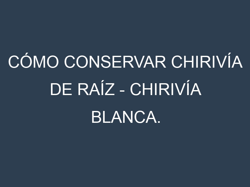 Cómo conservar Chirivía de raíz – Chirivía blanca.