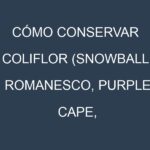Cómo conservar Coliflor (Snowball, Romanesco, Purple Cape, Flamenco).