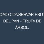 Cómo conservar Fruta del pan – Fruta de árbol.