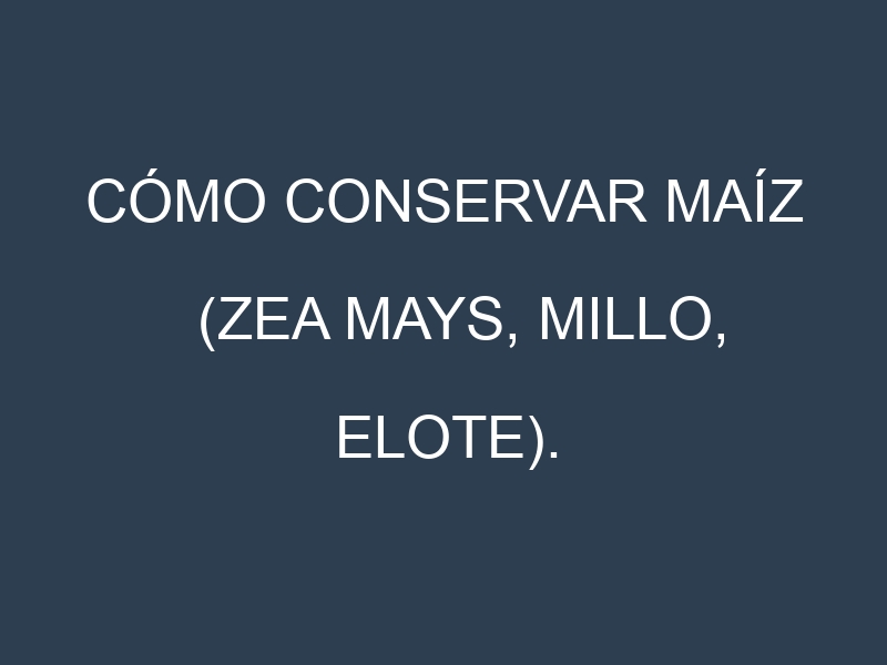 Cómo conservar Maíz (Zea mays, Millo, Elote).