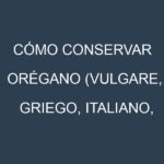 Cómo conservar Orégano (Vulgare, Griego, Italiano, Compactum).