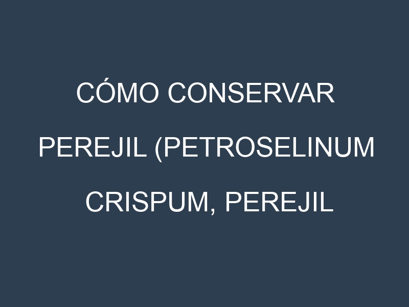 Cómo conservar Perejil (Petroselinum crispum, Perejil rizado, Perejil plano).