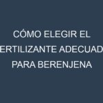 Cómo Elegir el Fertilizante Adecuado para Berenjena