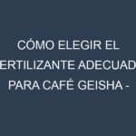 Cómo Elegir el Fertilizante Adecuado para Café Geisha – Coffea arabica var. geisha