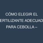 Cómo Elegir el Fertilizante Adecuado para Cebolla – Cebolla de verdeo, Cebolla cambray