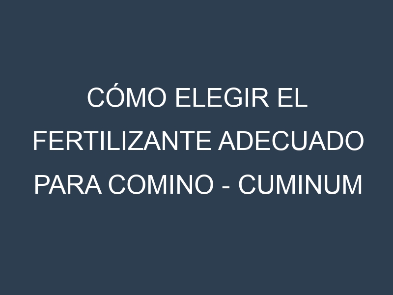 Cómo Elegir el Fertilizante Adecuado para Comino – Cuminum cyminum