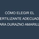 Cómo Elegir el Fertilizante Adecuado para Durazno amarillo – Melocotón de viña