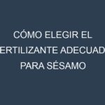 Cómo Elegir el Fertilizante Adecuado para Sésamo