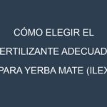Cómo Elegir el Fertilizante Adecuado para Yerba mate (Ilex paraguariensis, mate tea)