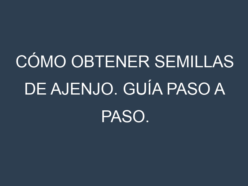 Cómo obtener semillas de Ajenjo. Guía paso a paso. Técnicas sencillas. Conservación.