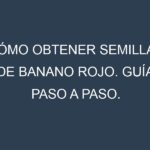 Cómo obtener semillas de Banano rojo. Guía paso a paso. Técnicas sencillas. Conservación.
